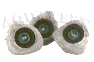Kerti t� web�ruh�z - Pondostar Set k�vil�g�t�s